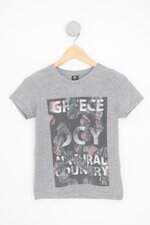 camiseta decoy kids cinza