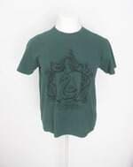 camiseta masculina verde com silk
