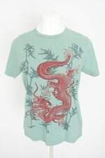 camiseta earth positive masculina verde com silk