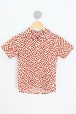 camisa green kids estampada