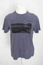camiseta havaianas masculina cinza
