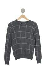 suéter carinhoso kids cinza