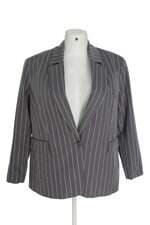 blazer Ashua feminino cinza