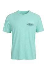 Camiseta Ellus masculina verde