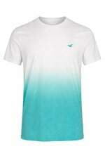 Camiseta Branca e Verde Hollister 