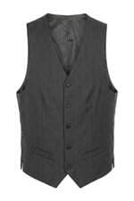Colete Aramis Masculino Cinza 
