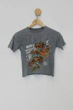 Camiseta Infantil cinza com silk