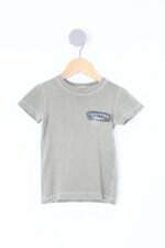 Camiseta Infantil richard kids cinza