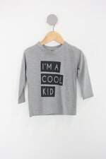 Camiseta Infantil cinza com silk 